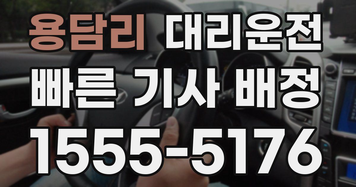 일일대리기사