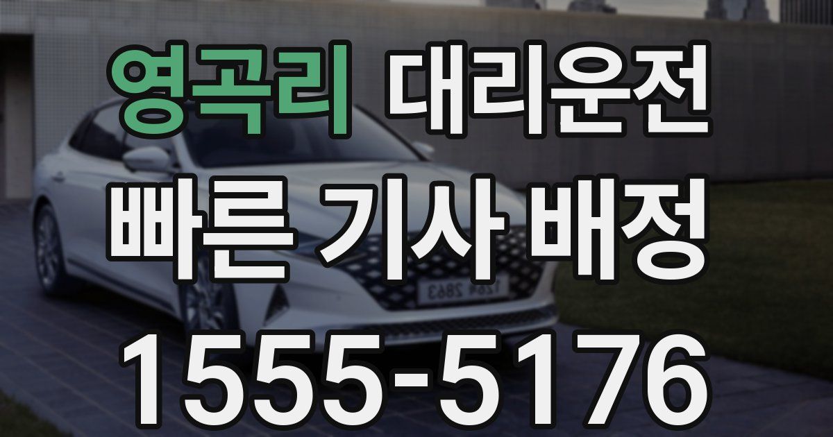 일일대리기사