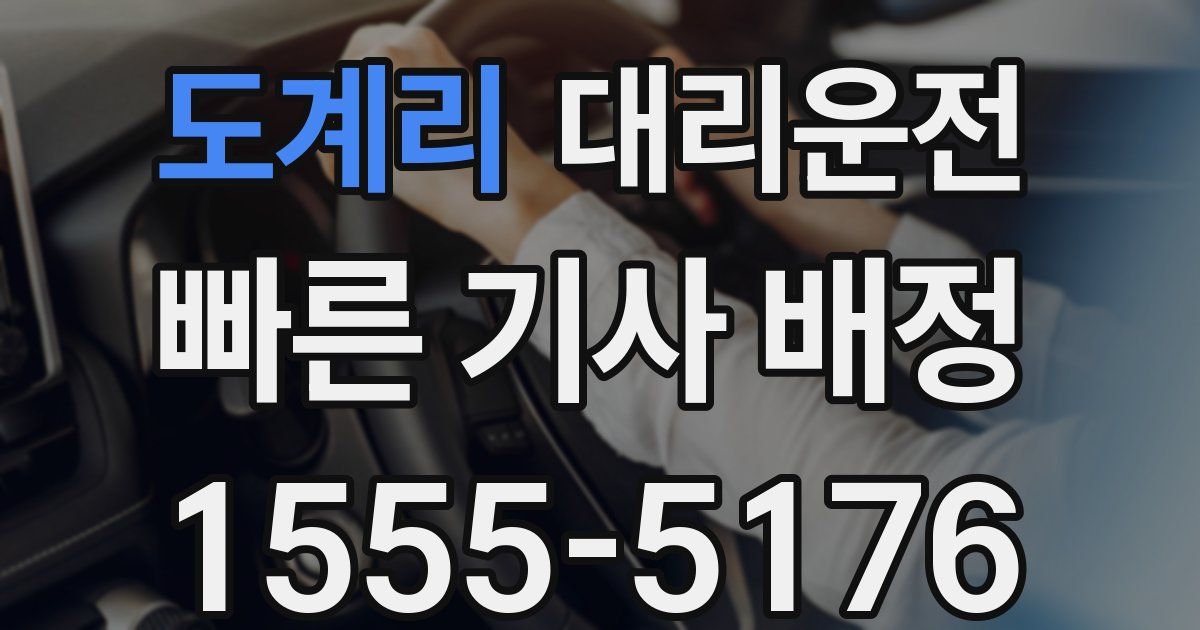 일일대리기사