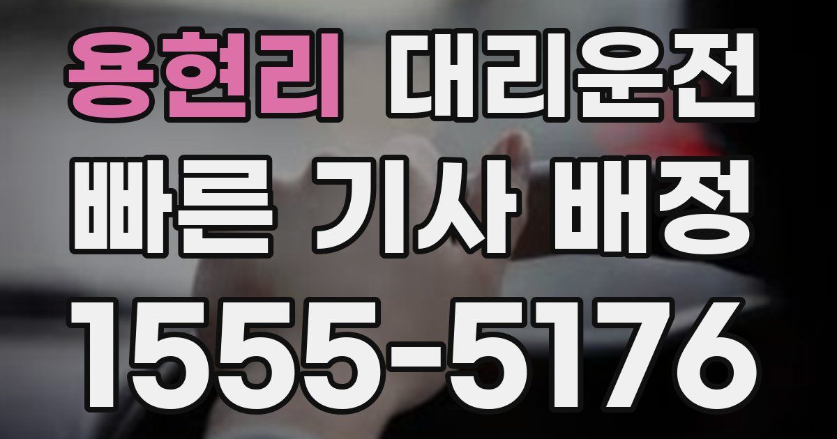 일일대리기사