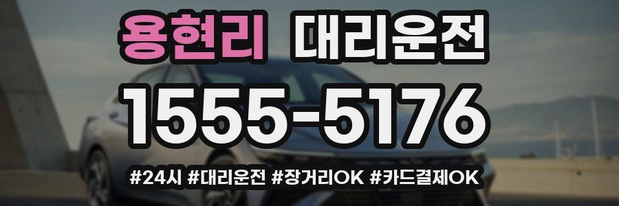 용현리 대리운전