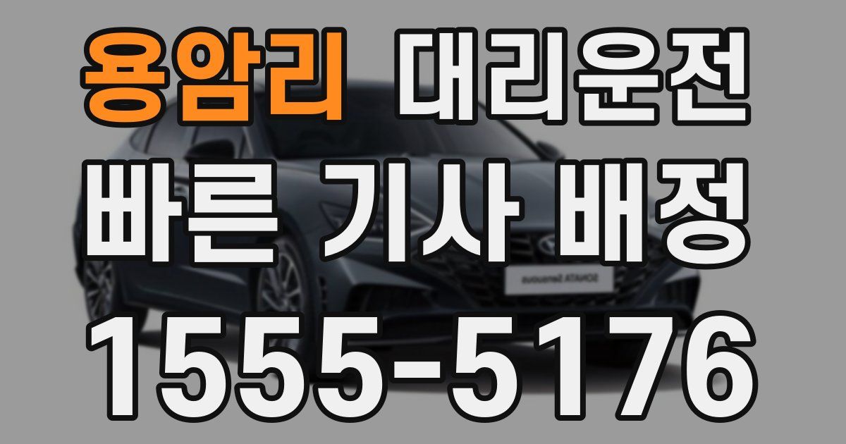 일일대리기사