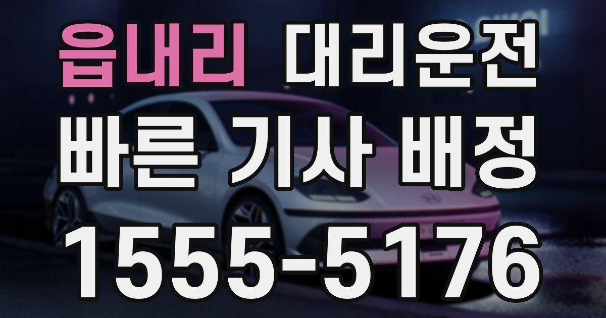 일일대리기사