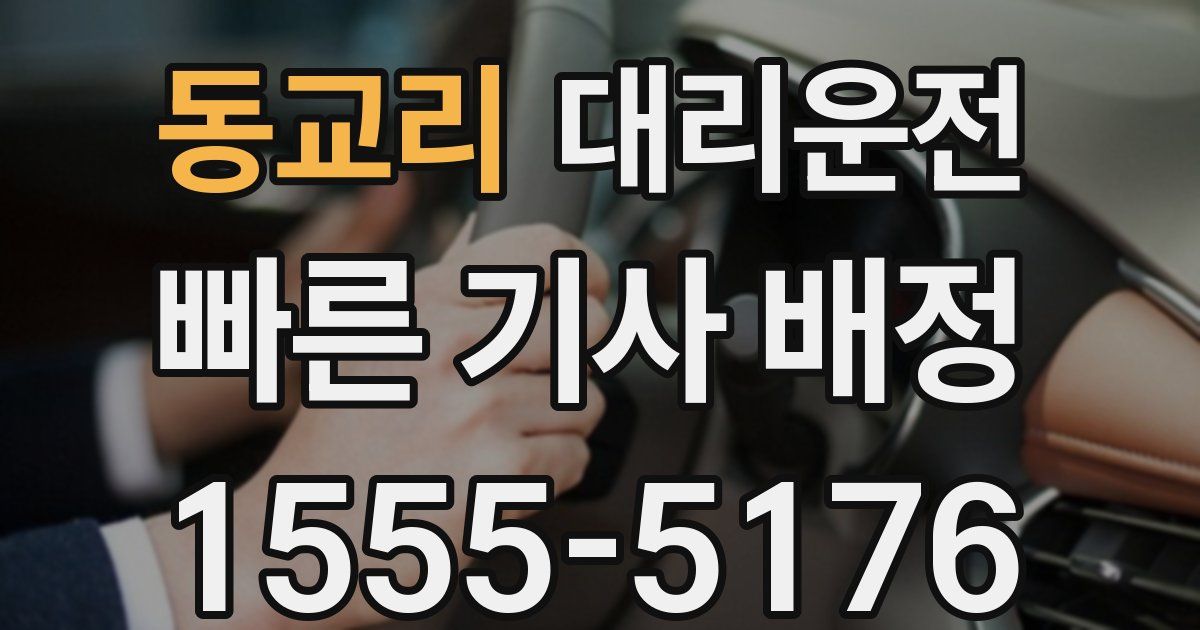 일일대리기사