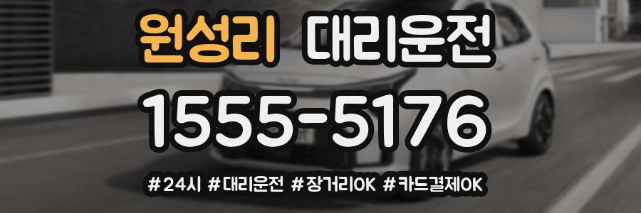 원성리 대리운전