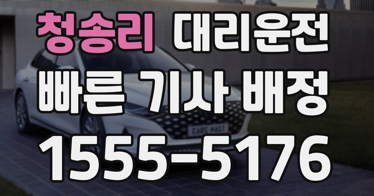일일대리기사