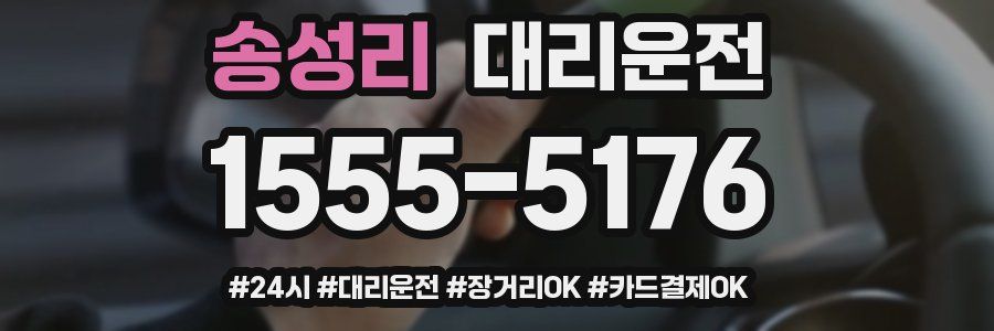 송성리 대리운전