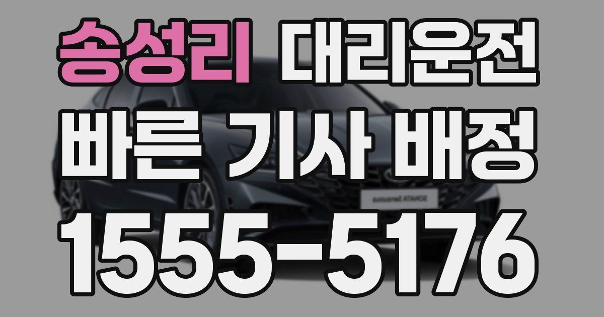 일일대리기사