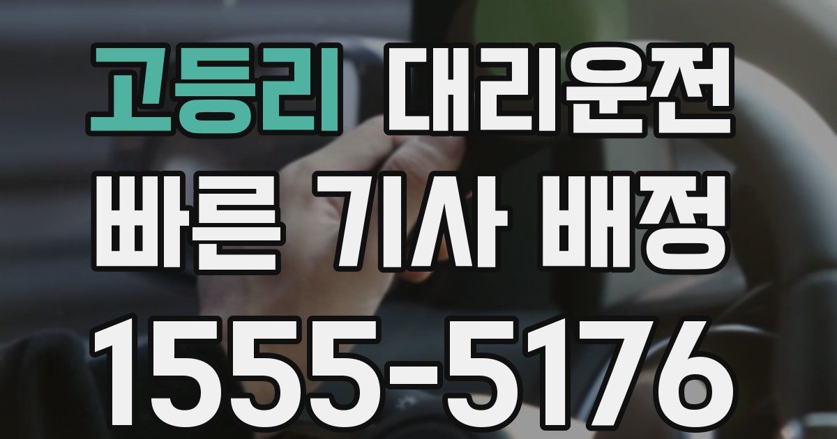 일일대리기사