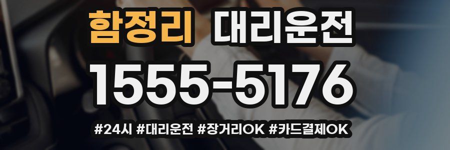 함정리 대리운전
