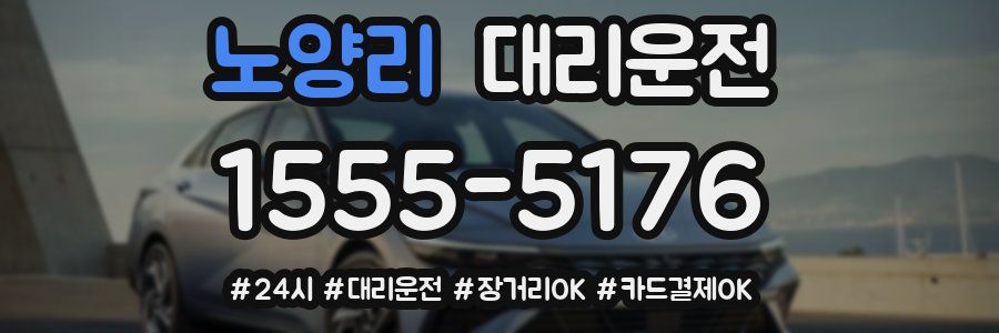 노양리 대리운전