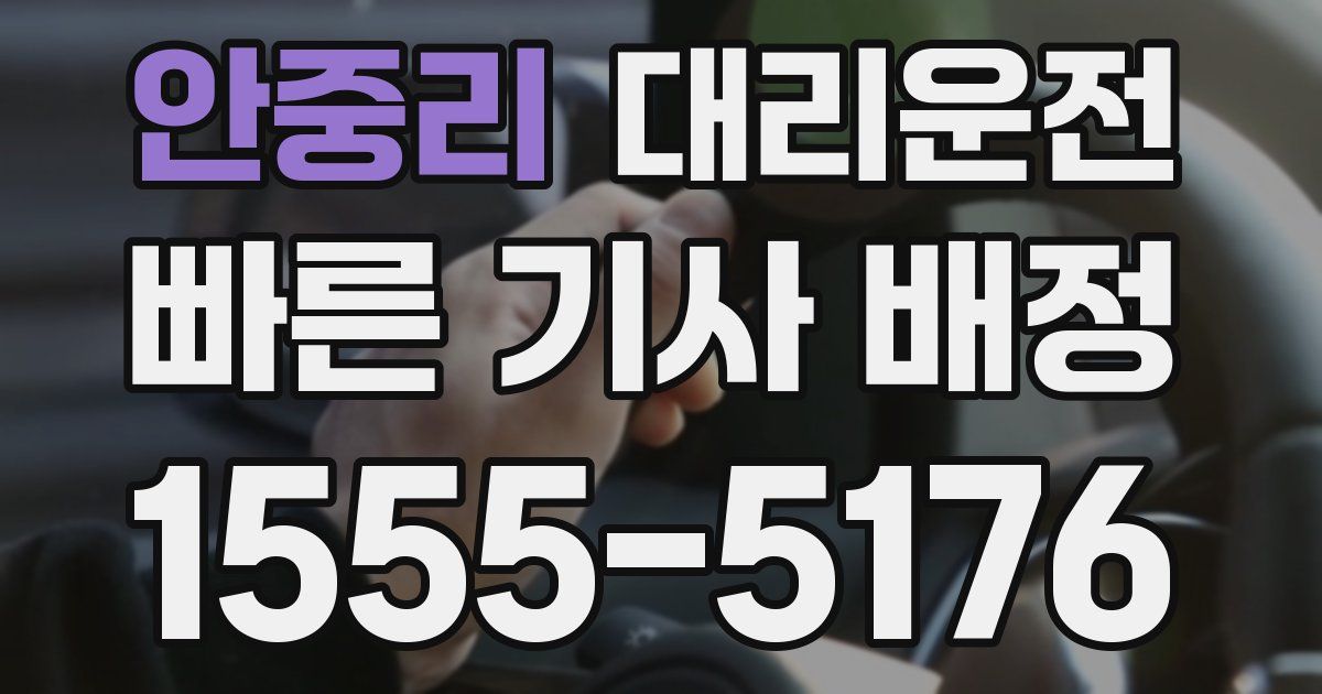 일일대리기사