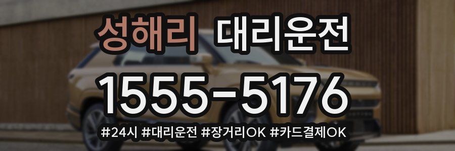 성해리 대리운전