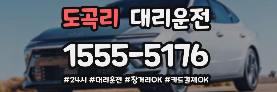 도곡리 대리운전