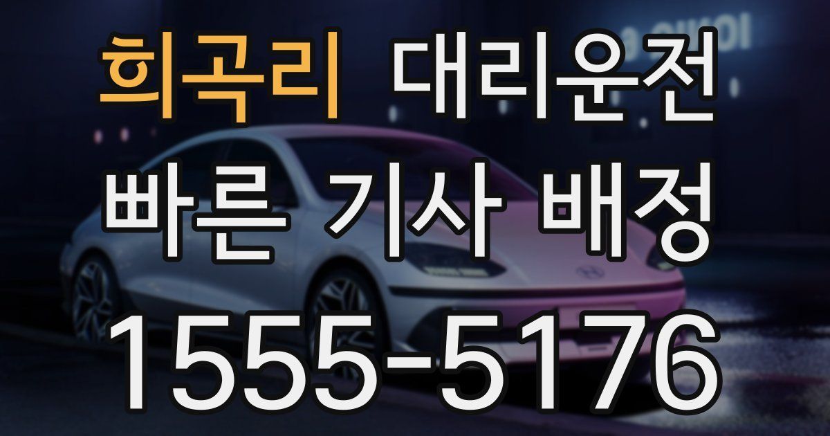 일일대리기사