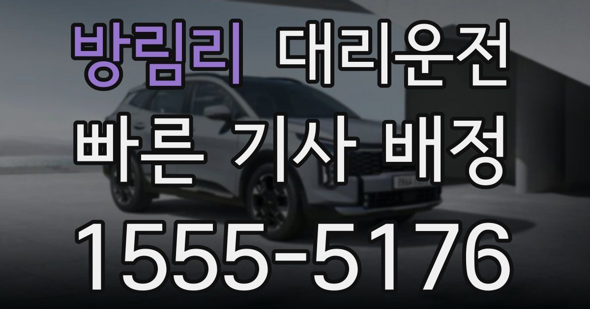 일일대리기사