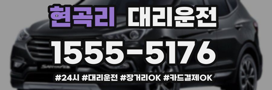 현곡리 대리운전