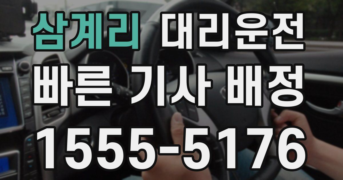 일일대리기사