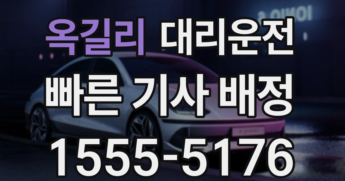 일일대리기사