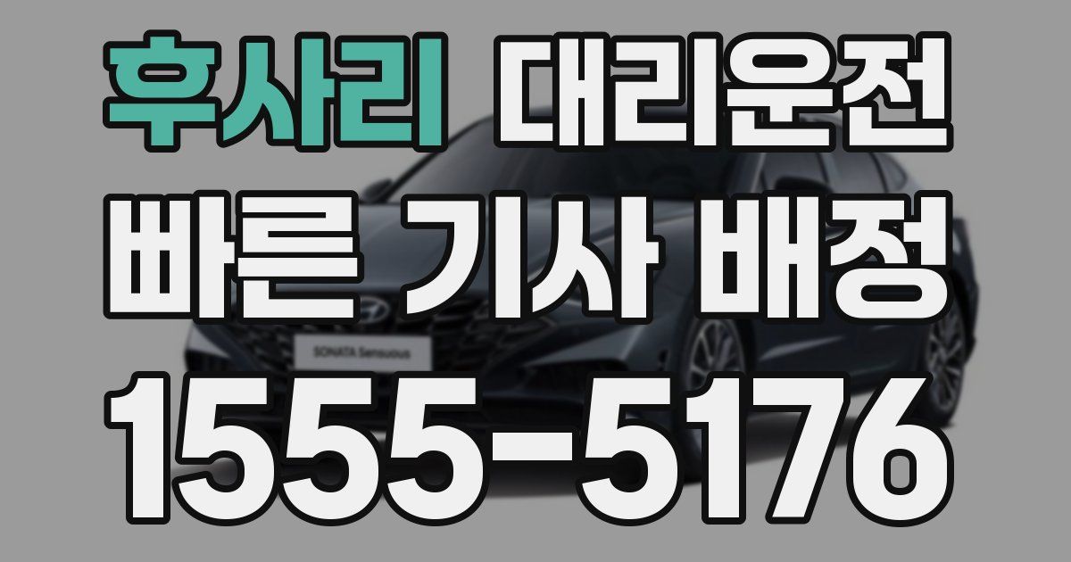 일일대리기사
