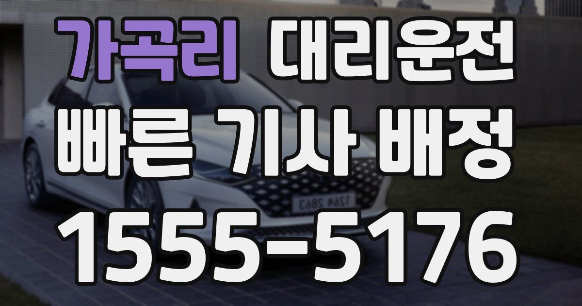 일일대리기사