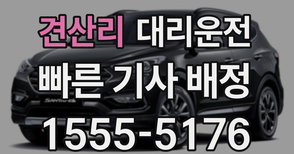 일일대리기사