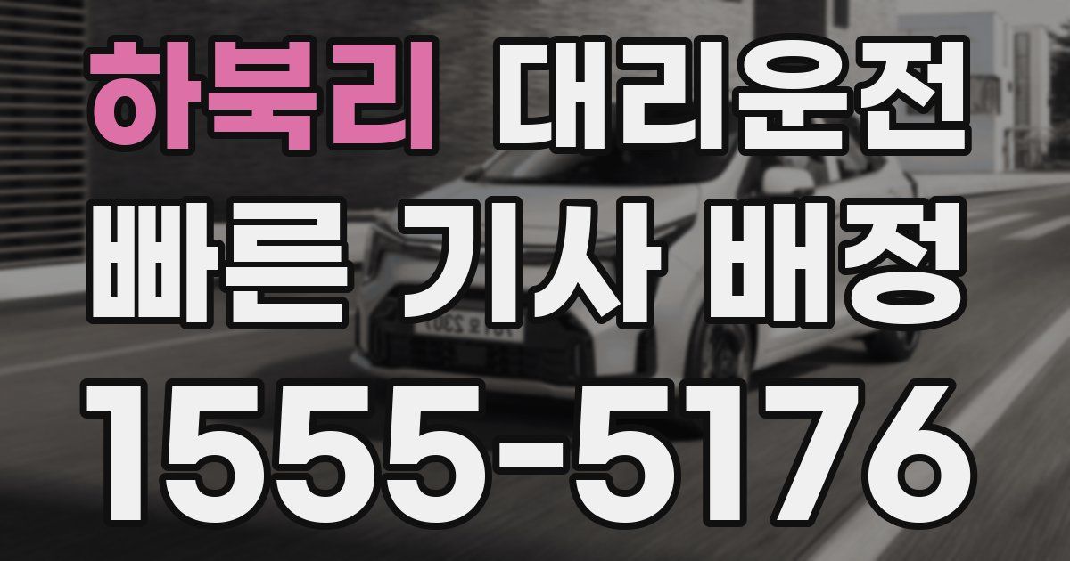 일일대리기사
