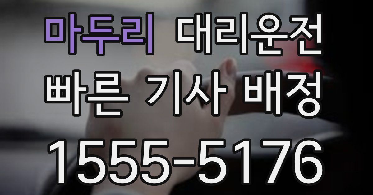 일일대리기사
