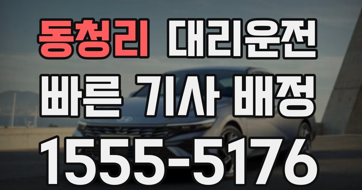 일일대리기사
