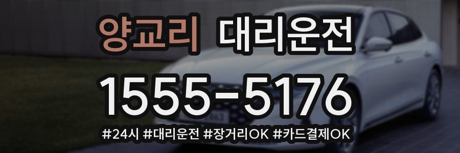 양교리 대리운전