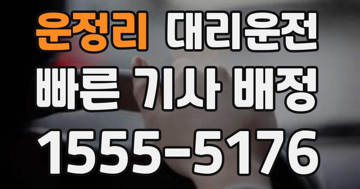 일일대리기사