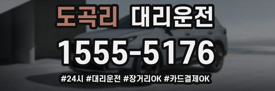 도곡리 대리운전