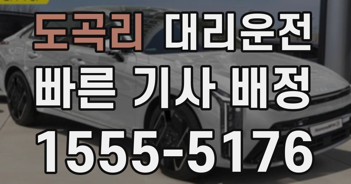 일일대리기사