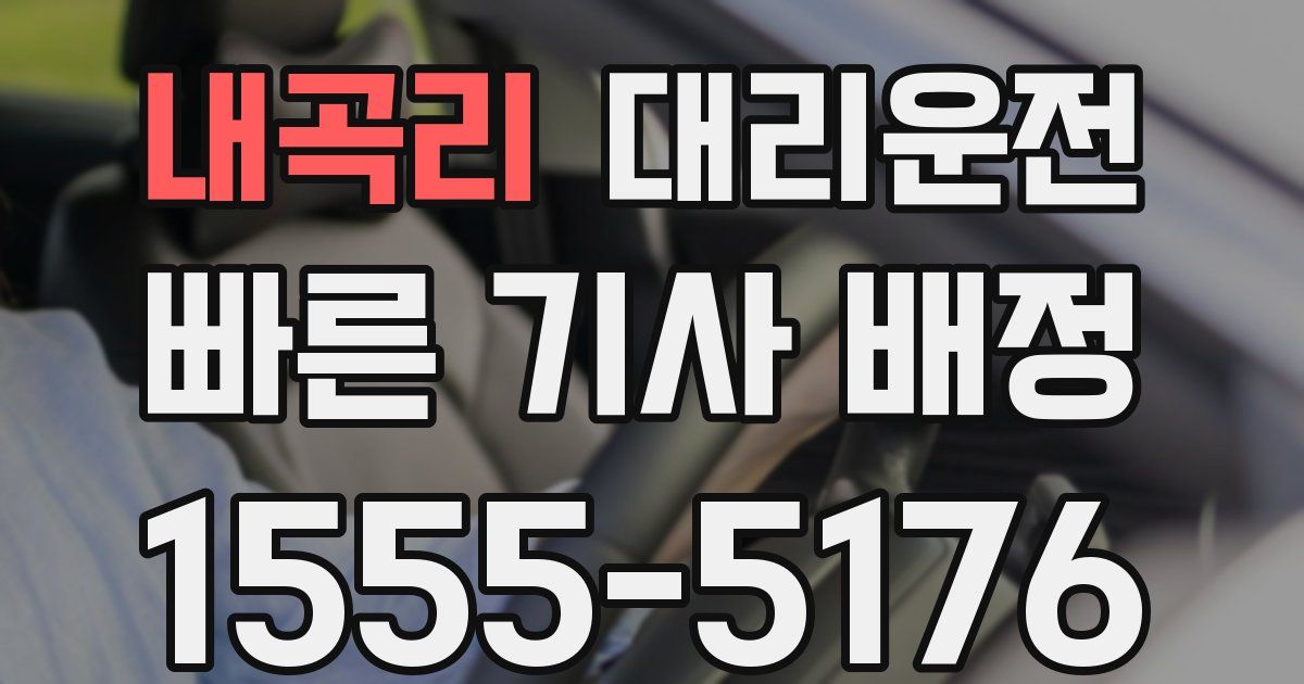 일일대리기사