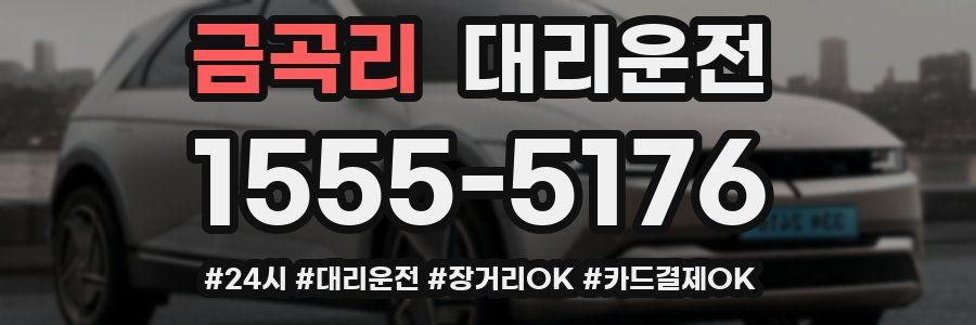 금곡리 대리운전