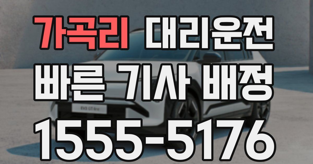 일일대리기사