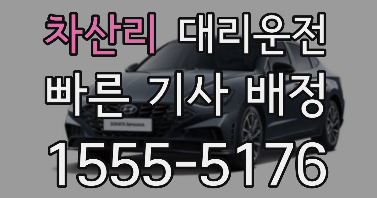 일일대리기사