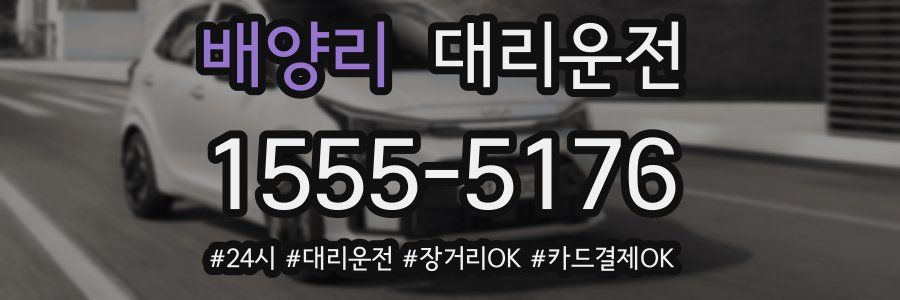 배양리 대리운전