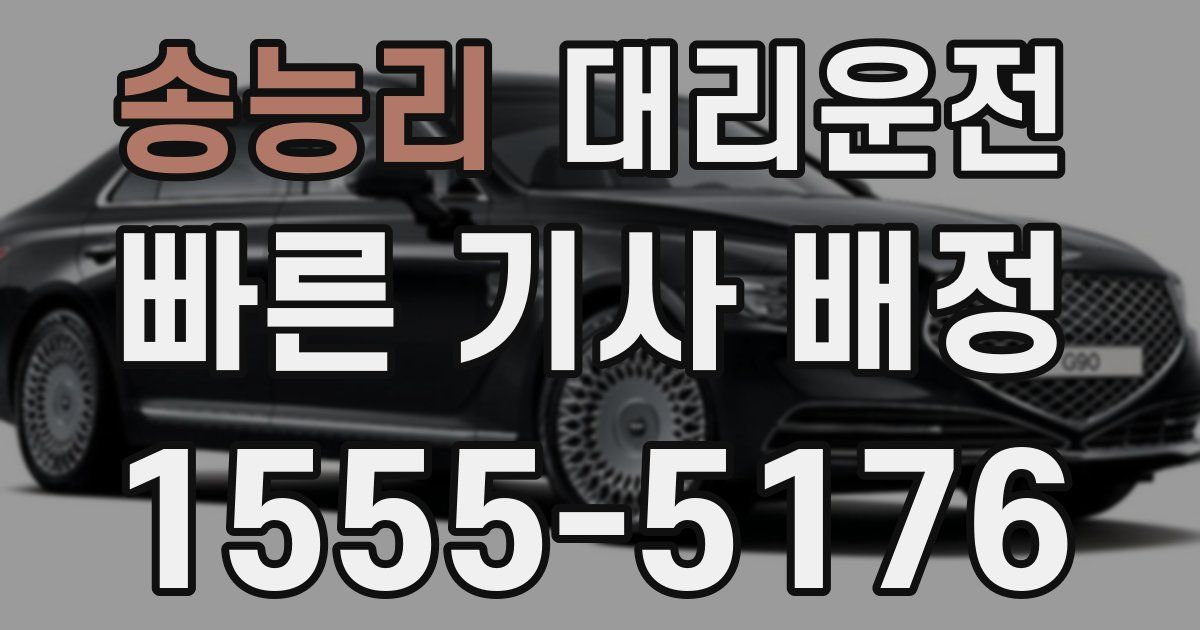 일일대리기사