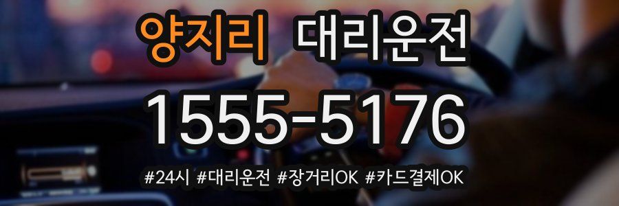 양지리 대리운전
