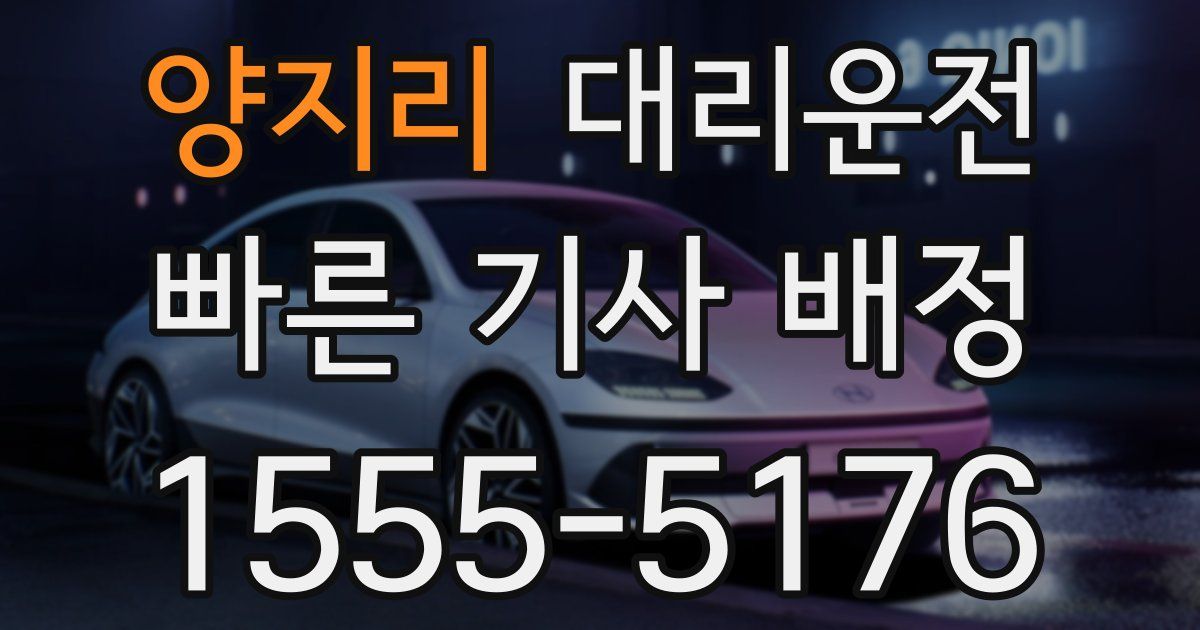 일일대리기사
