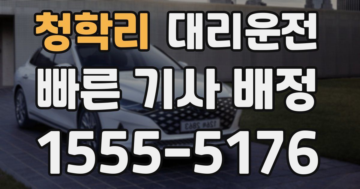 일일대리기사