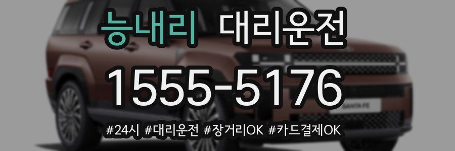 능내리 대리운전