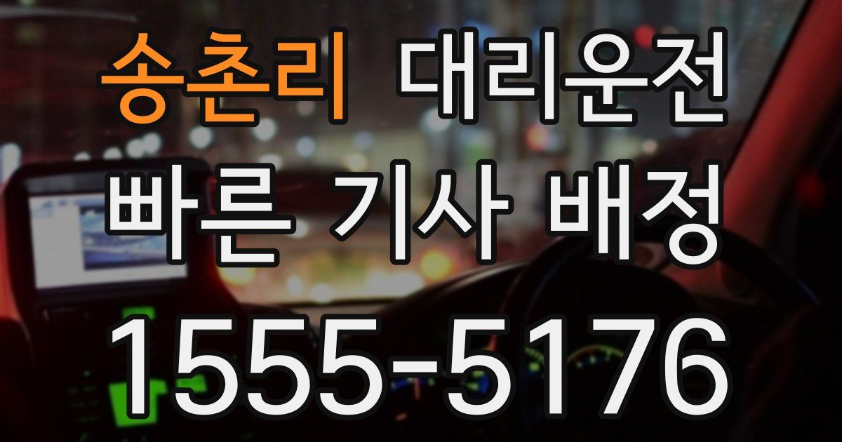 일일대리기사