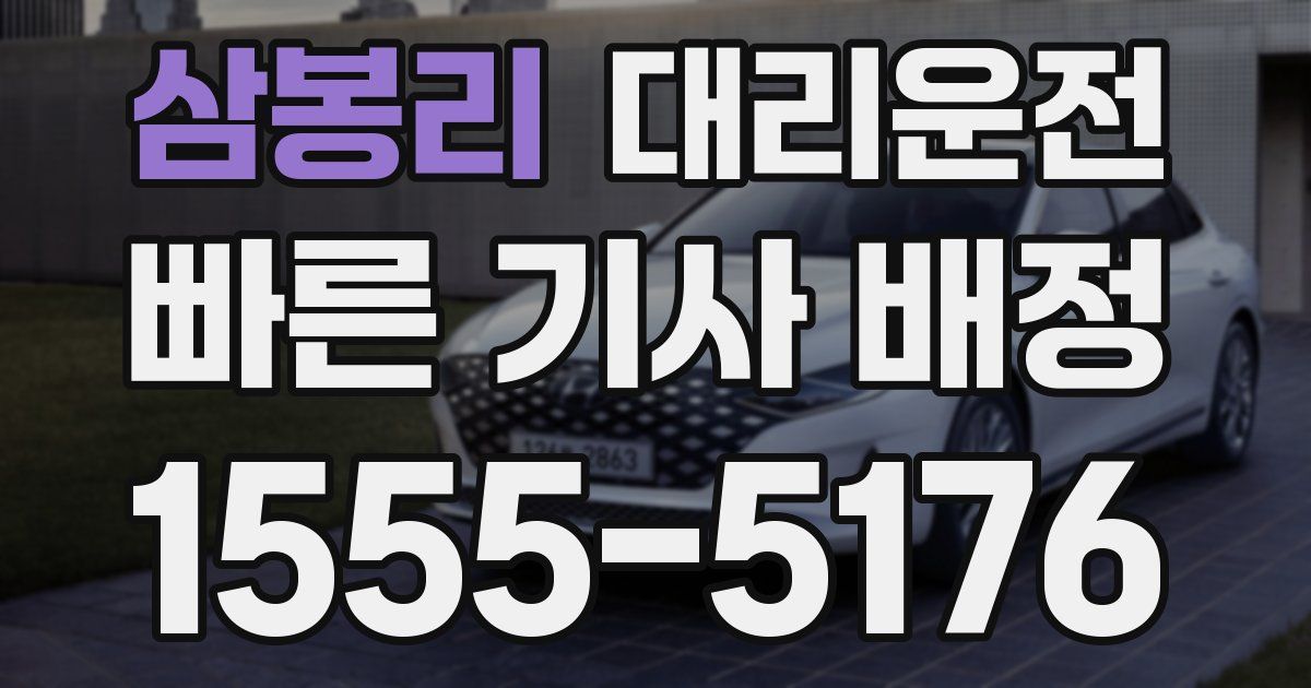 일일대리기사