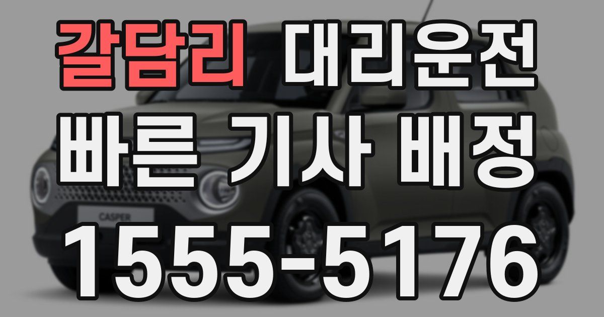 일일대리기사
