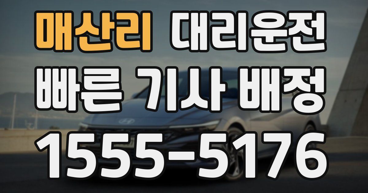 일일대리기사