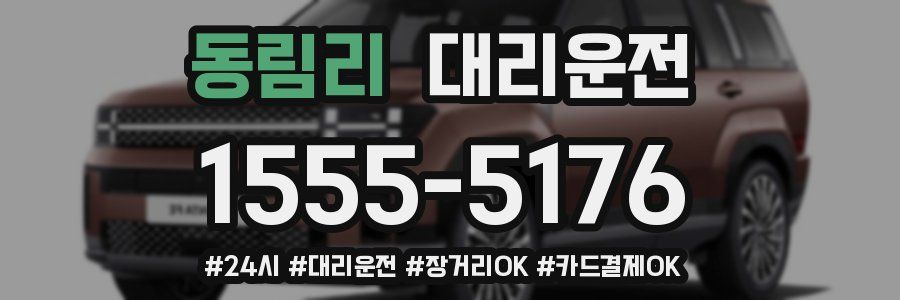 동림리 대리운전