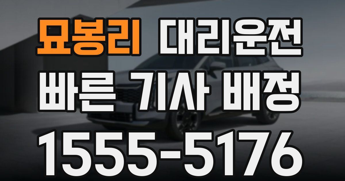 일일대리기사