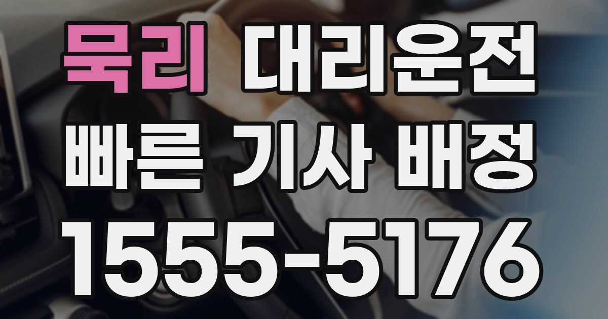 일일대리기사